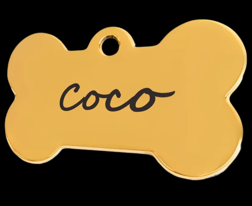 Placa personalizada para mascotas - Diseño 2